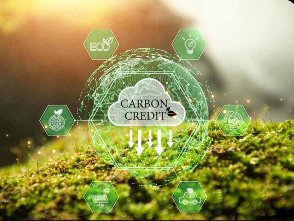 carbon credits and carbon markets in nigeria carbon credit