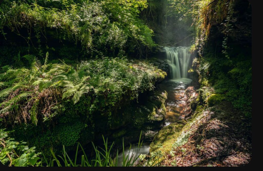 Forest and Biodiversity Protection in Nigeria forest and biodiversity